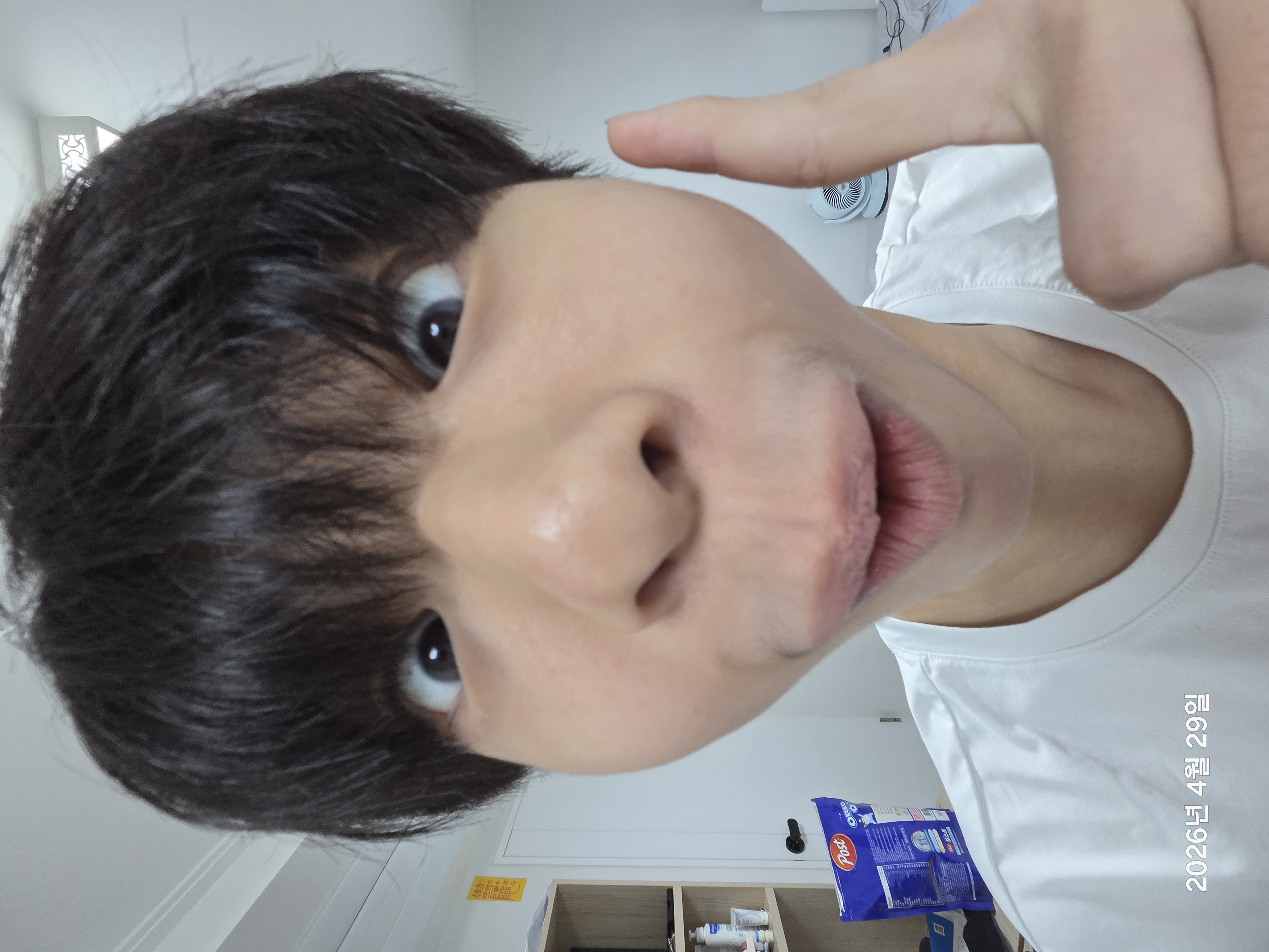 2026년 4월 29일 2026년 4월 29일