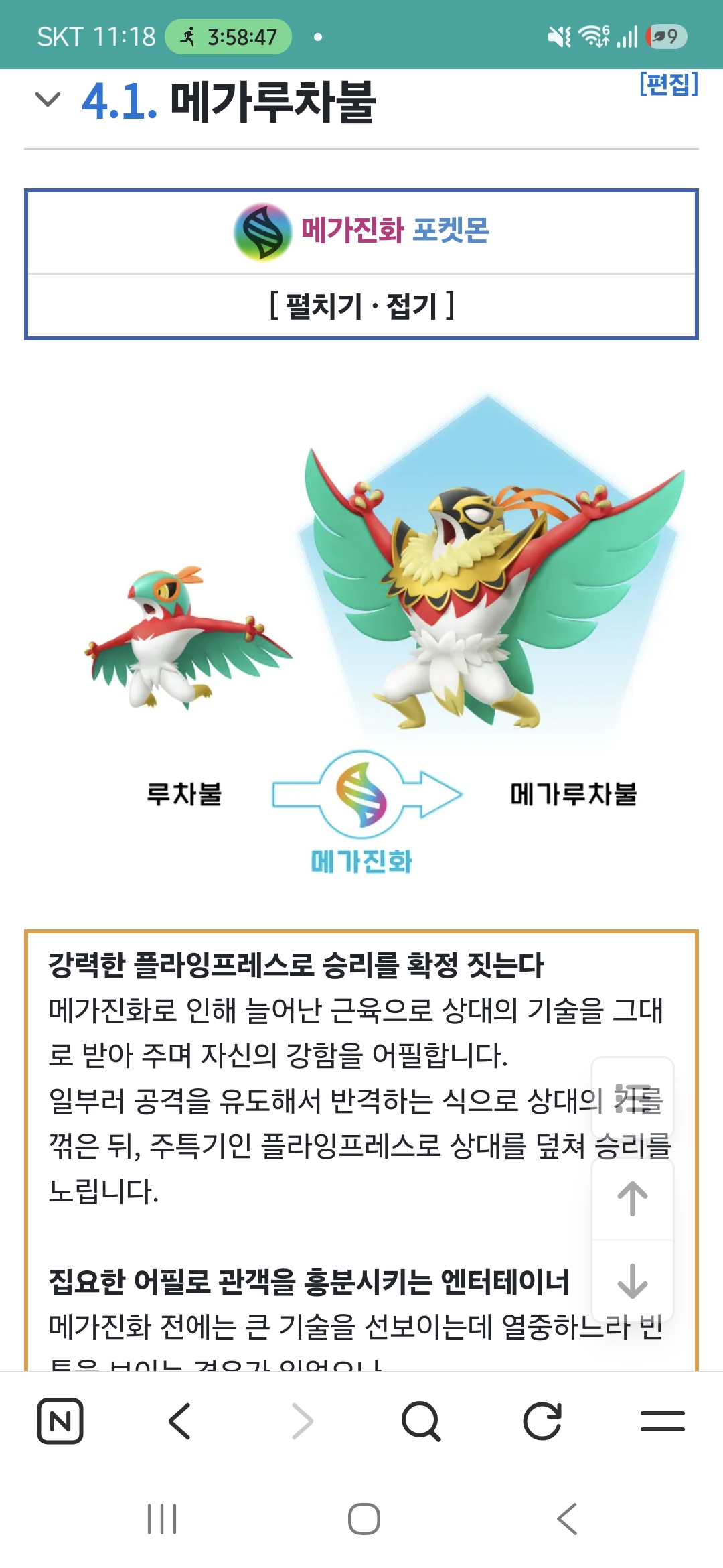 4.1. 메가루차불