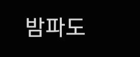 밤파도