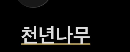 천년나무