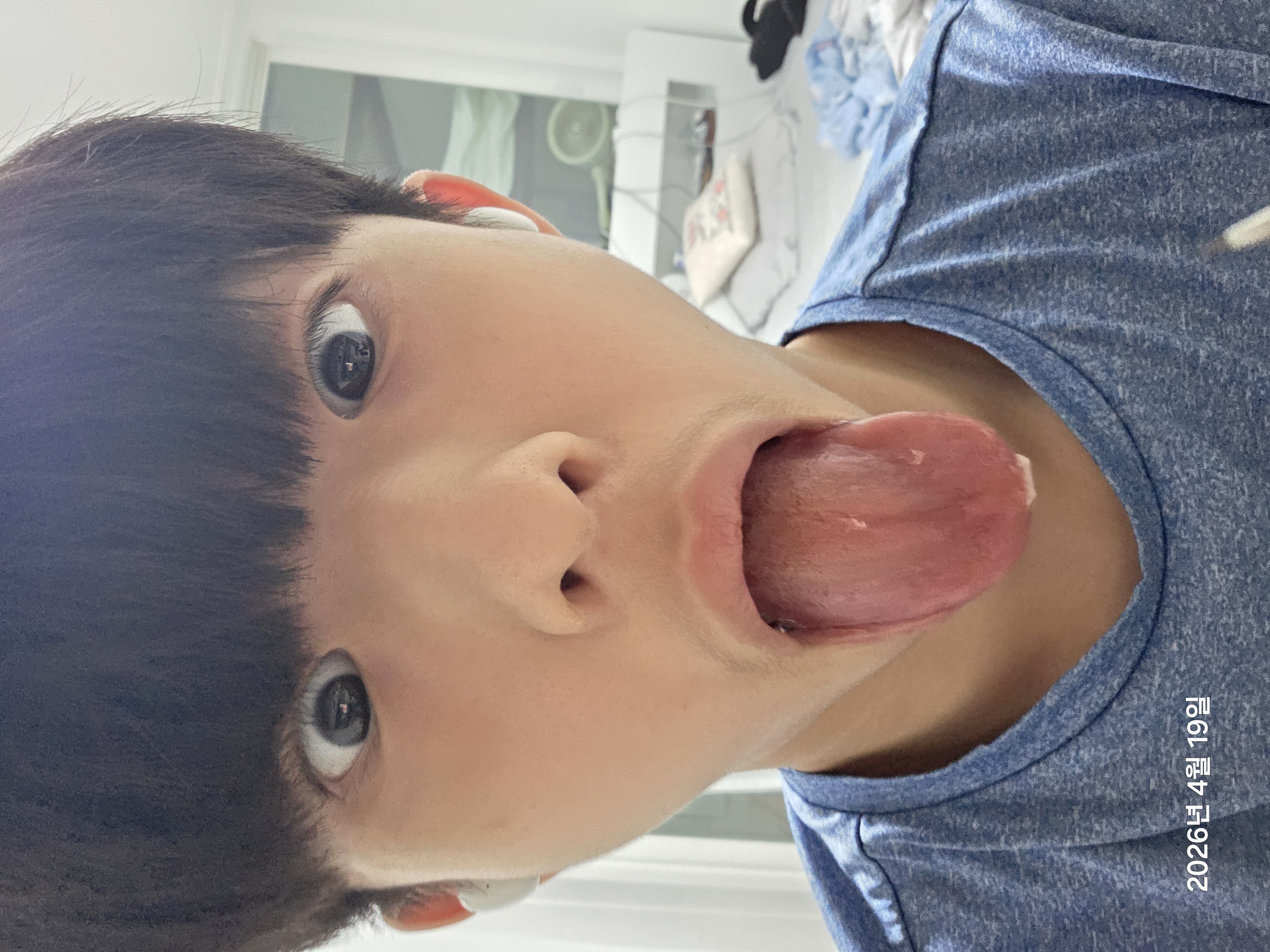 2026년 4월 19일 2026년 4월 19일