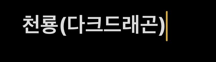 천룡(다크드래곤)