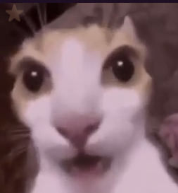 끼리끼리배 티어표