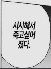 롤 티어