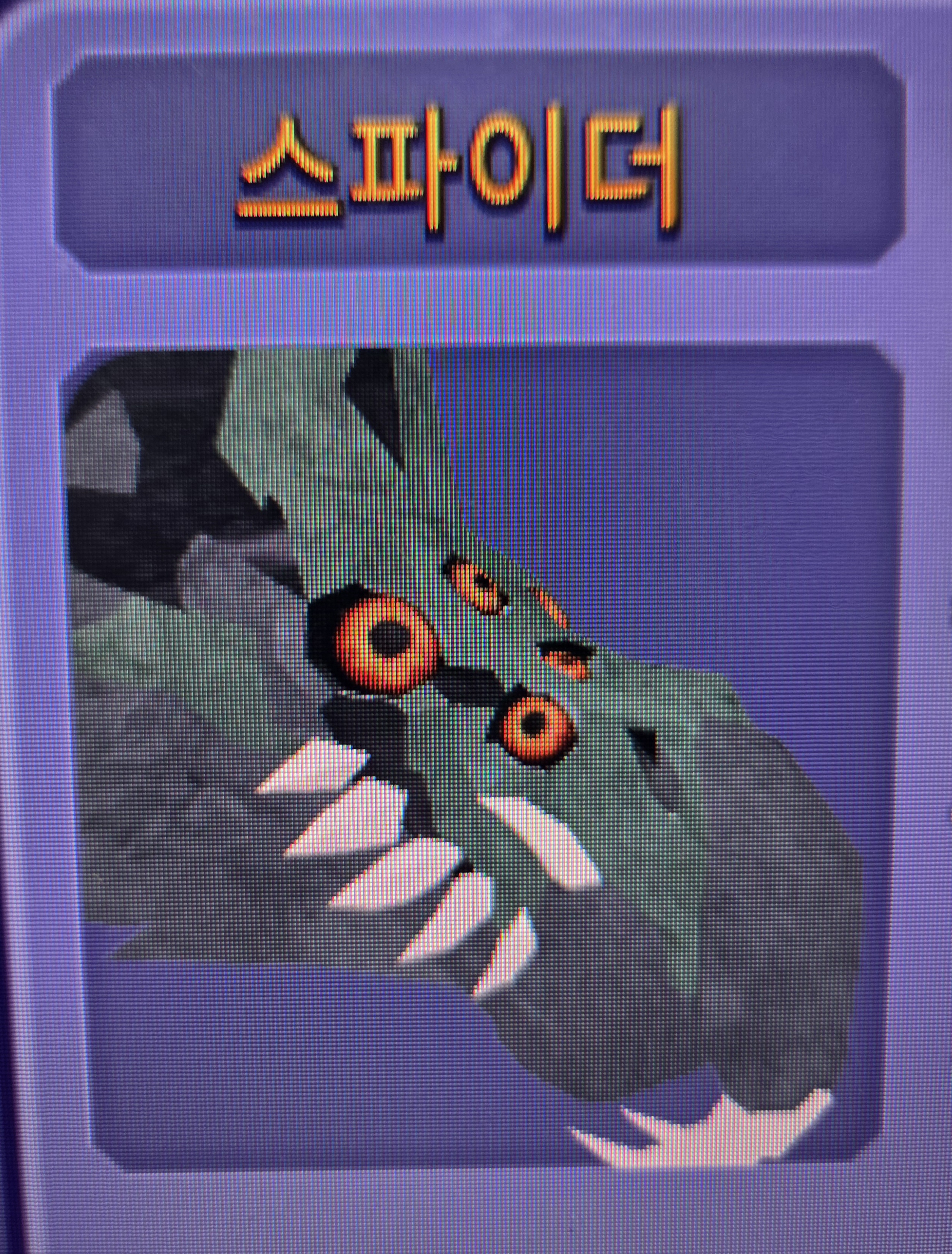스파이더