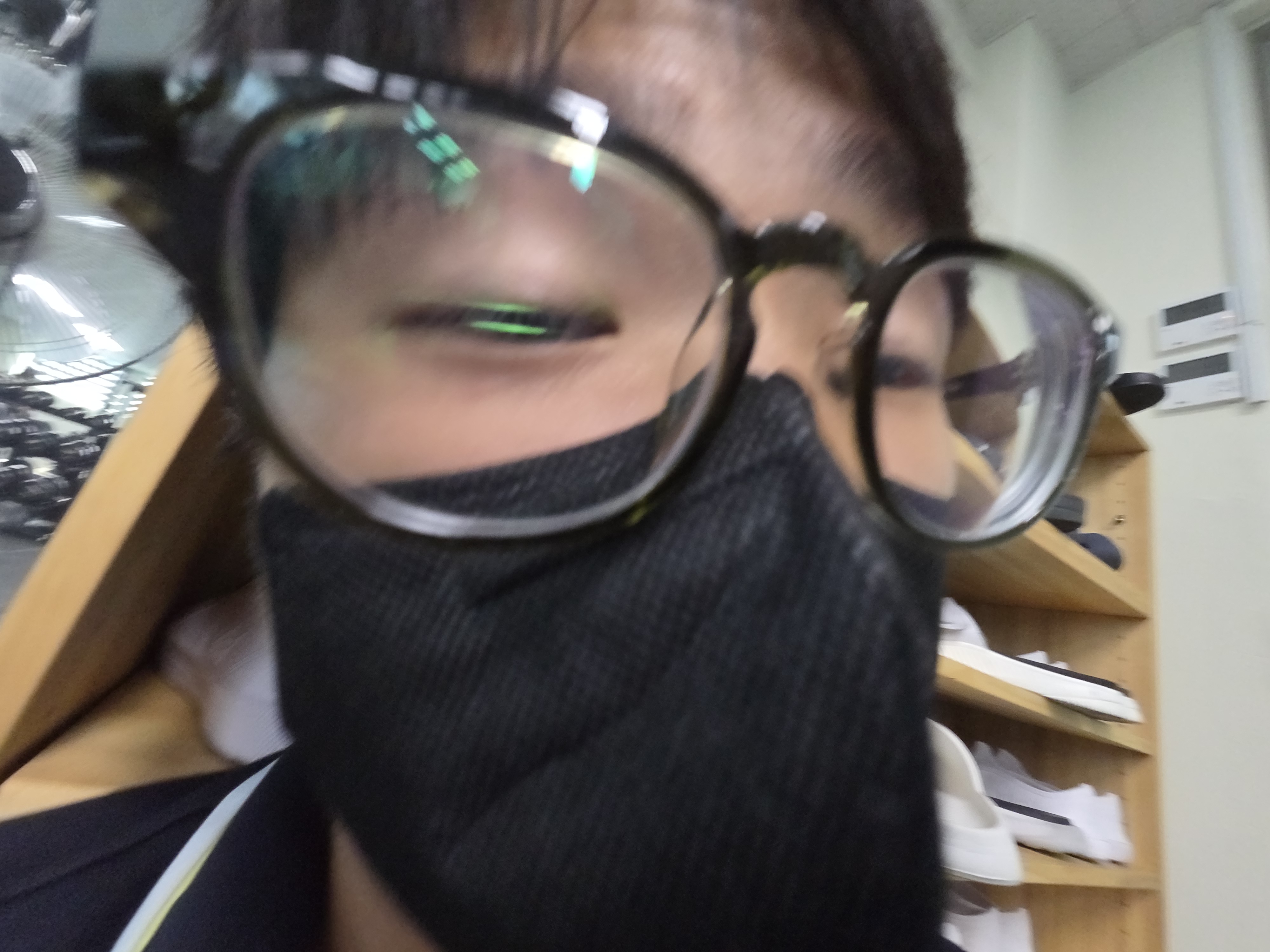 박은제
