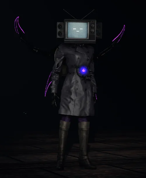 TV우먼 TV우먼