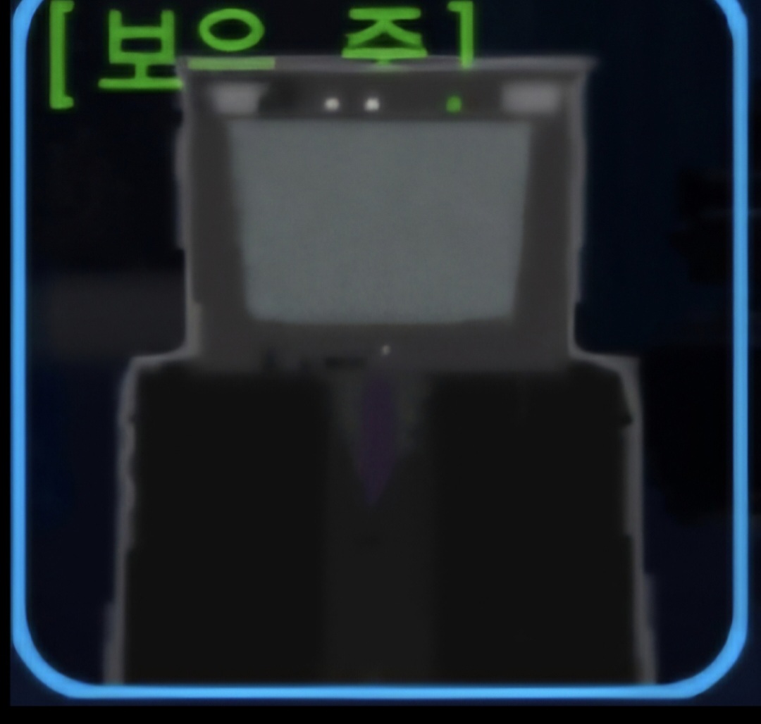 [보은 주]
