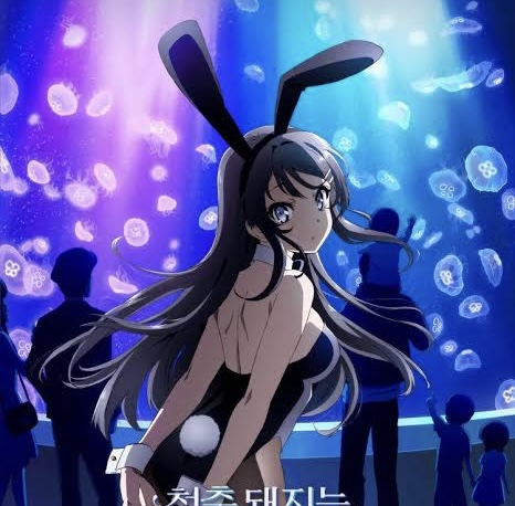 청춘 돼지는 바니걸 선배의 꿈을 꾸지 않는다 청춘 돼지는 바니걸 선배의 꿈을 꾸지 않는다