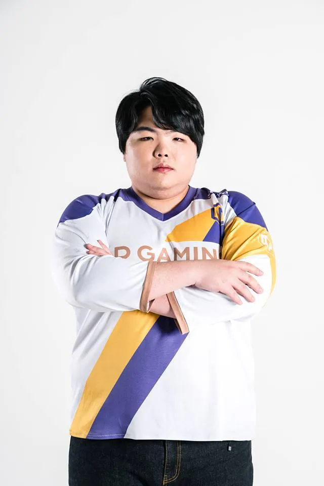 섹피 