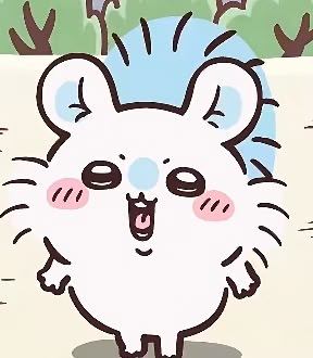 모몽가