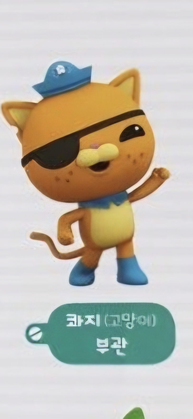 콰지 (고양이)
