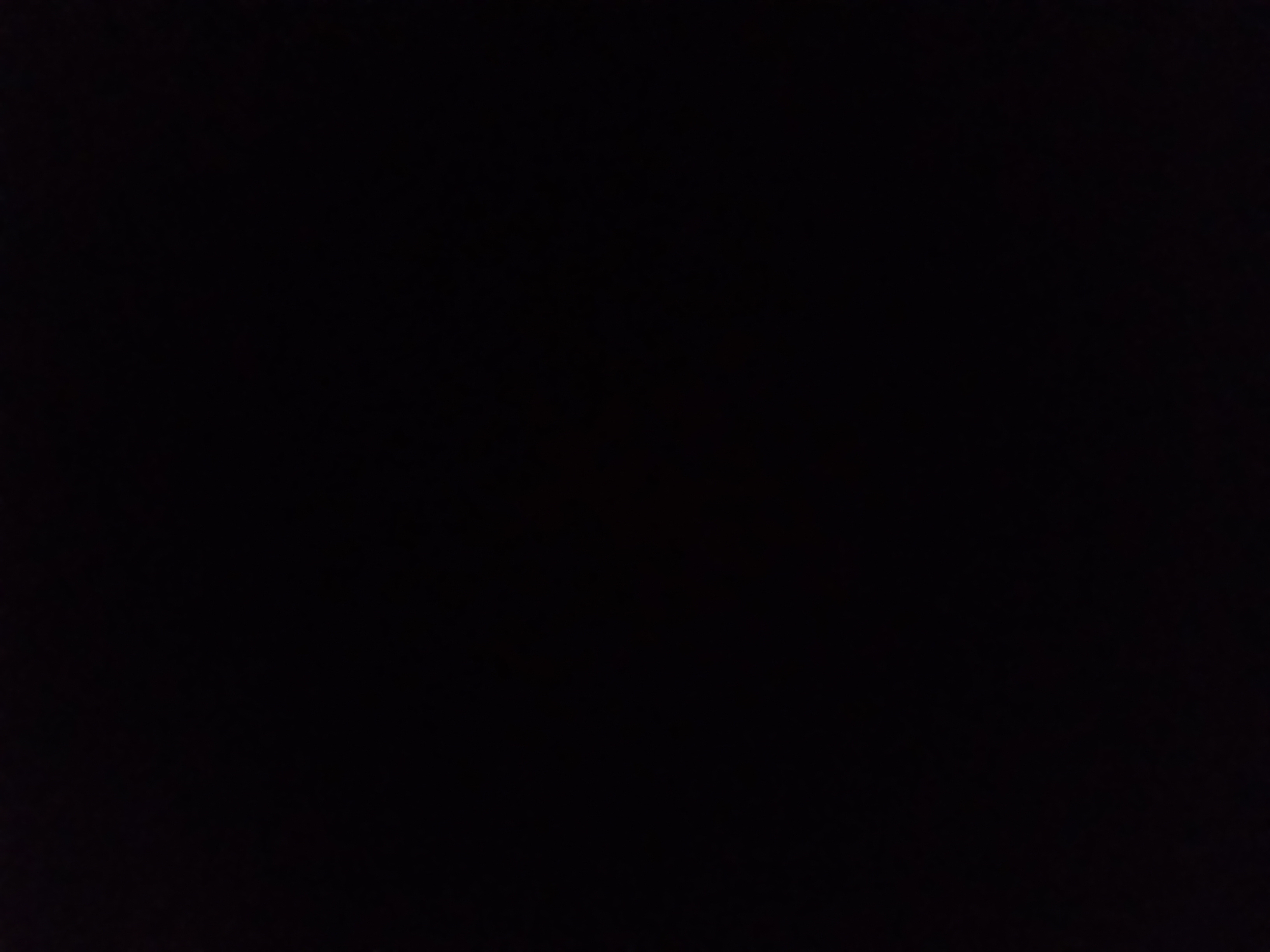 테스트