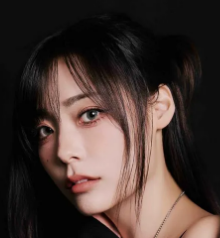 시연