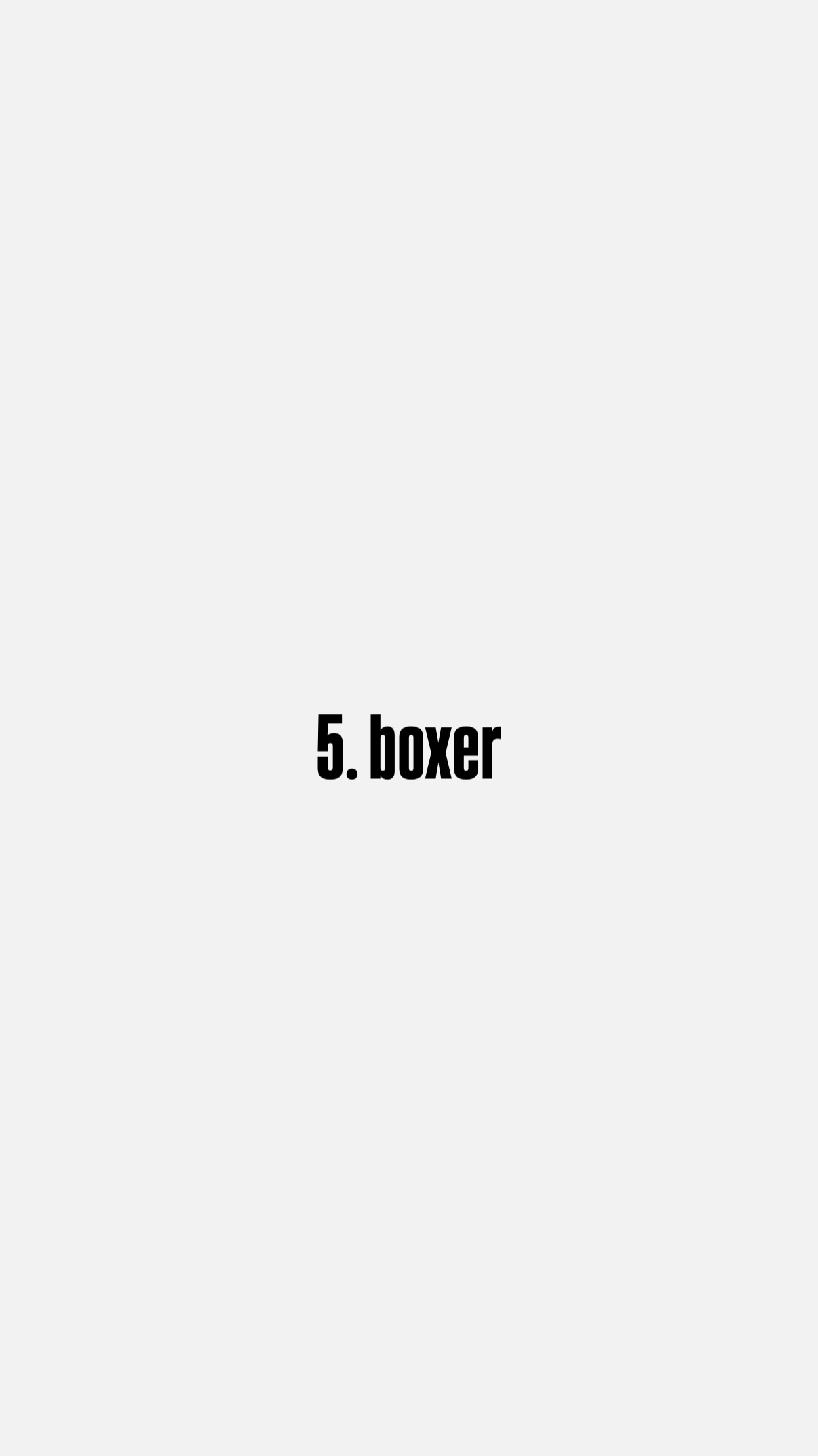 5. boxer
