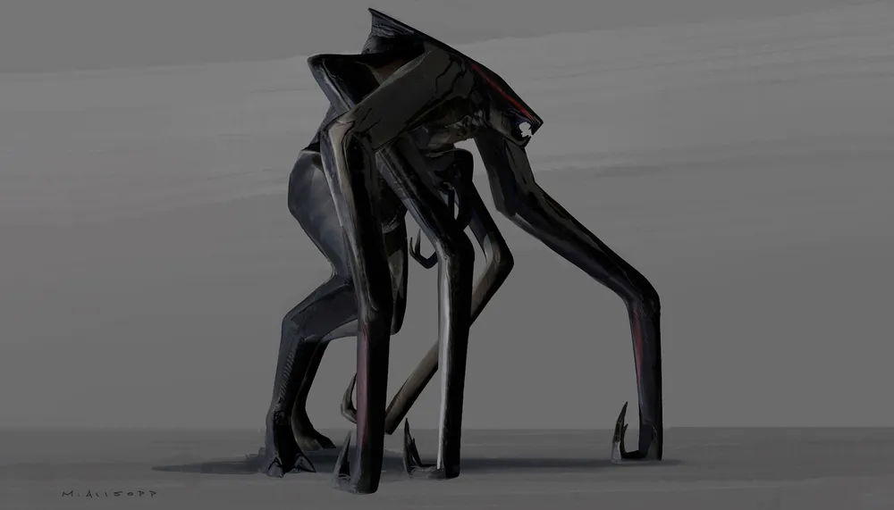 암컷무토 