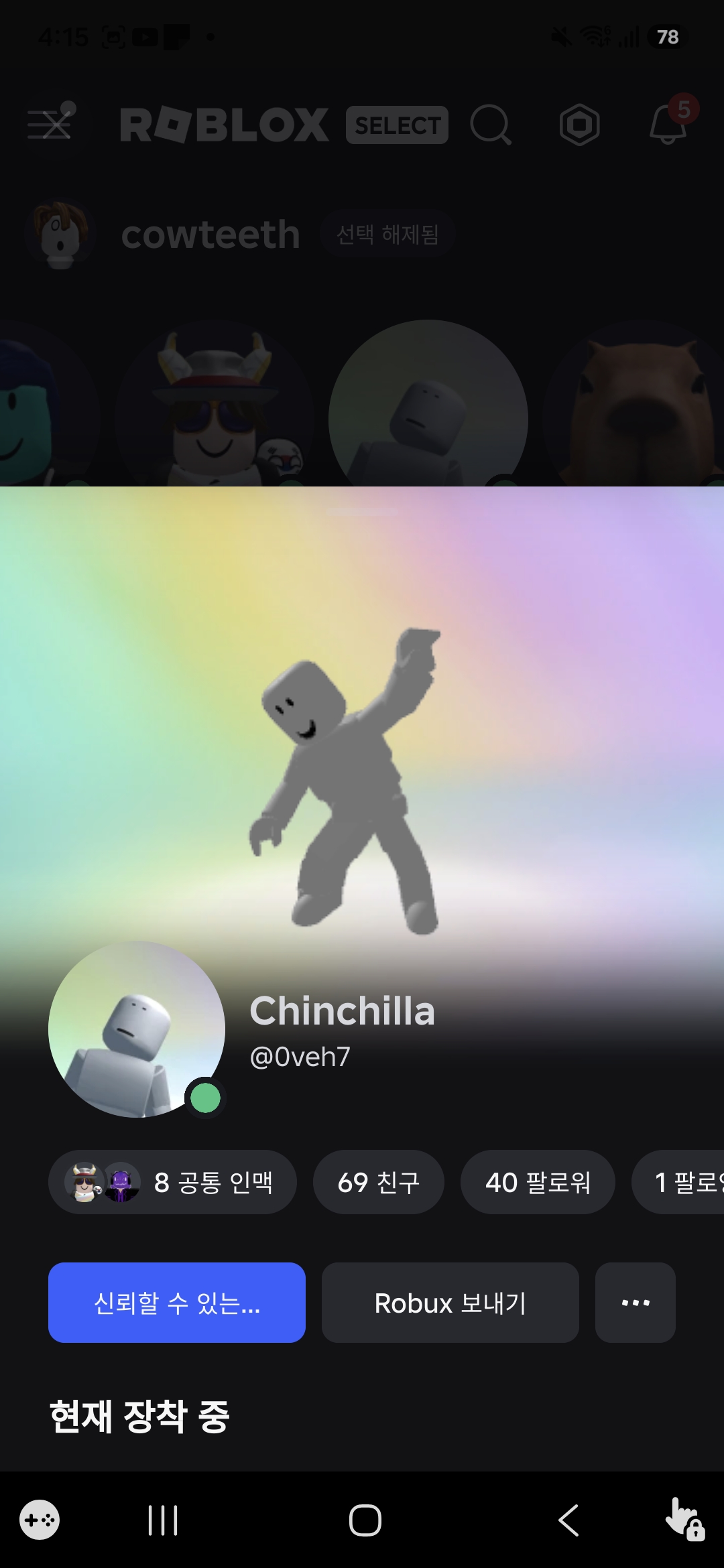 Chinchilla