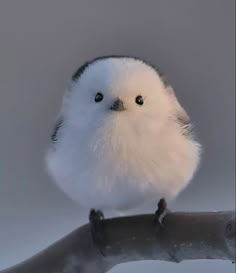 서진