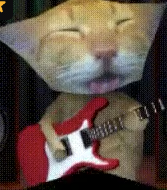 고양이