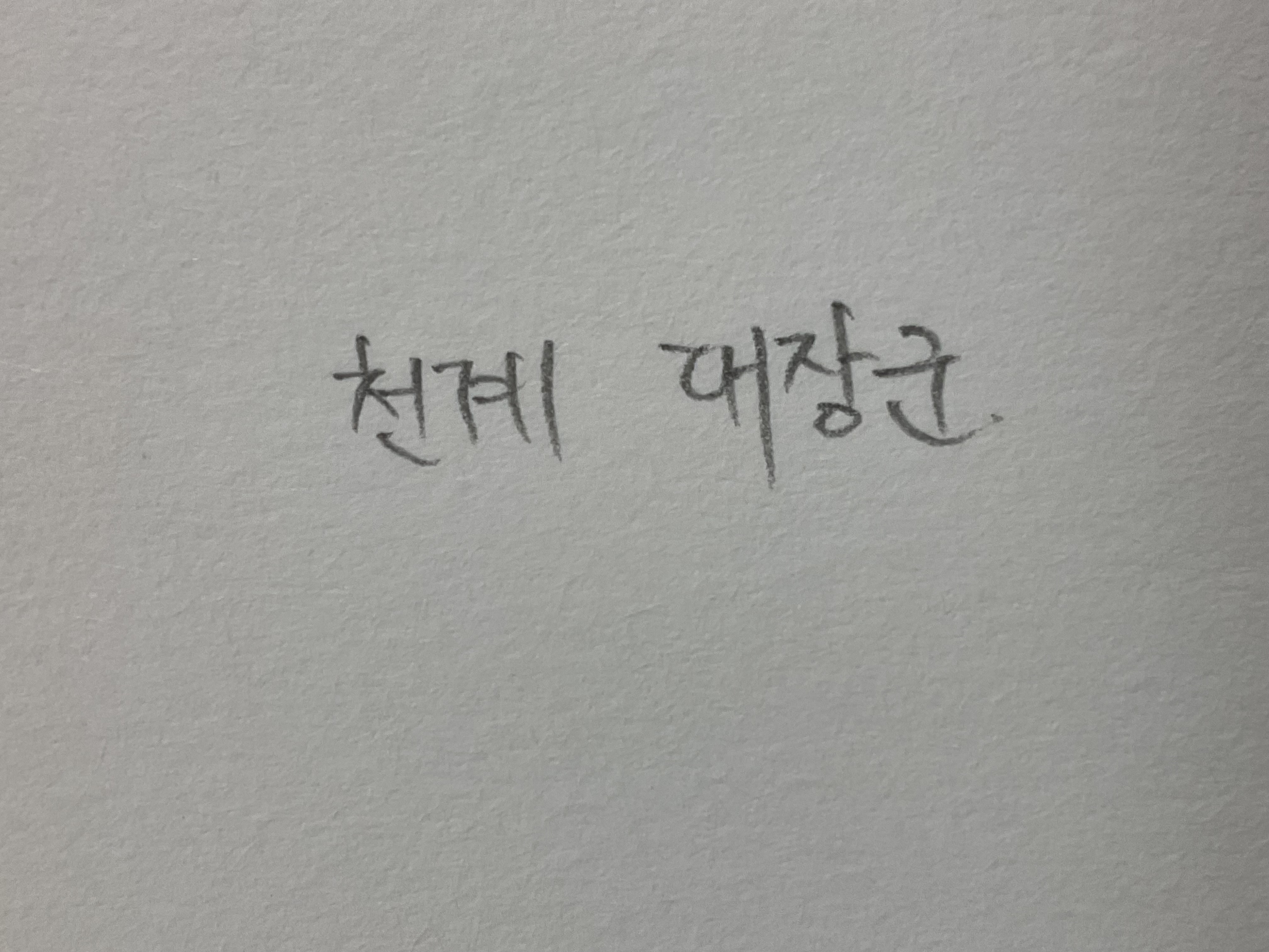 천계 대장군 천계 대장군