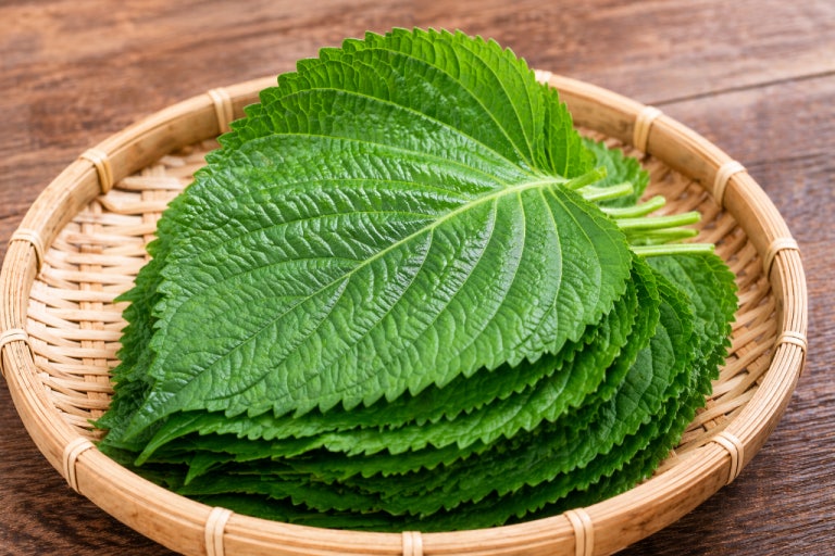 깻잎