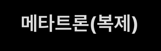 메타트론(복제)