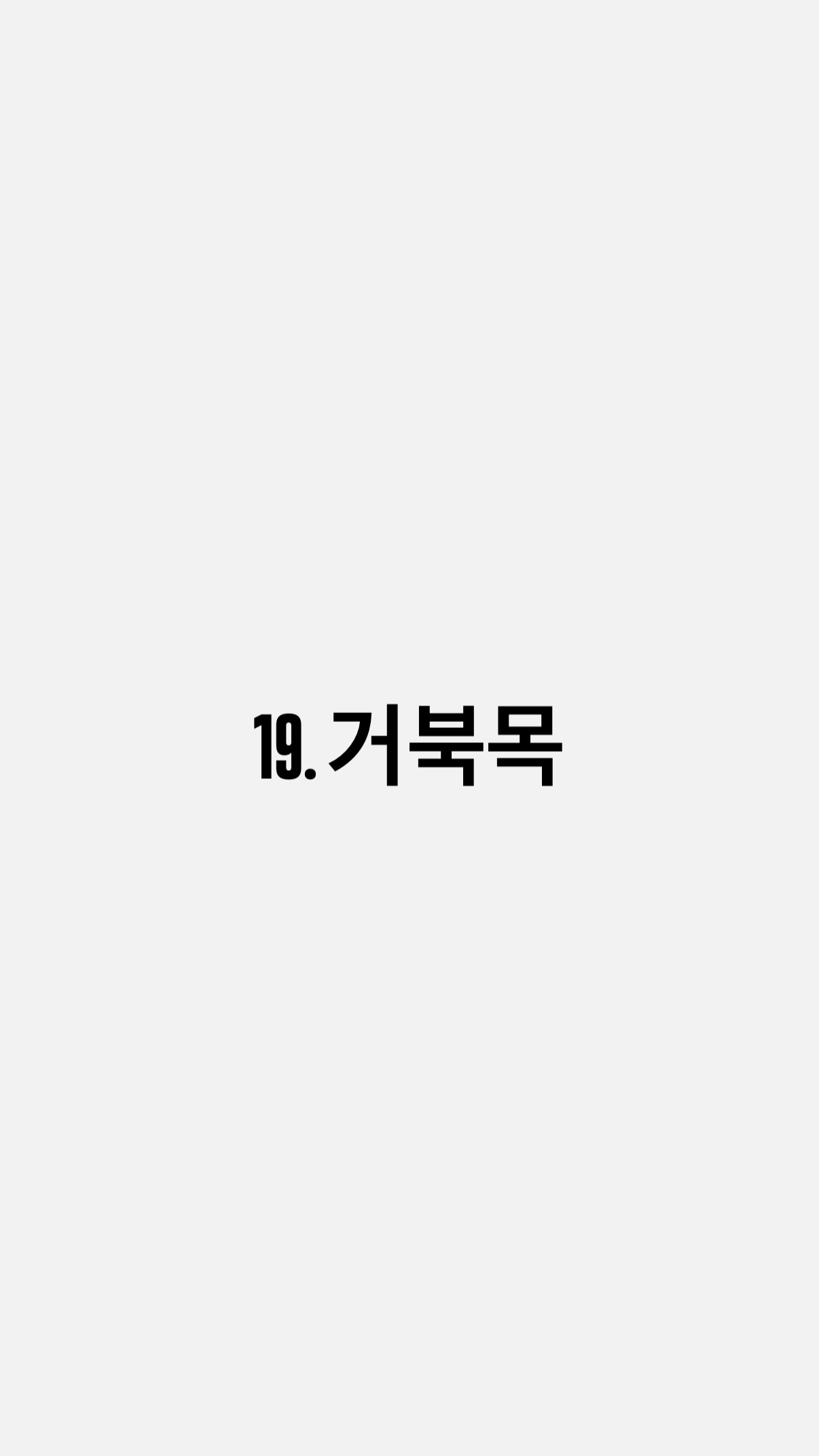 19. 거북목