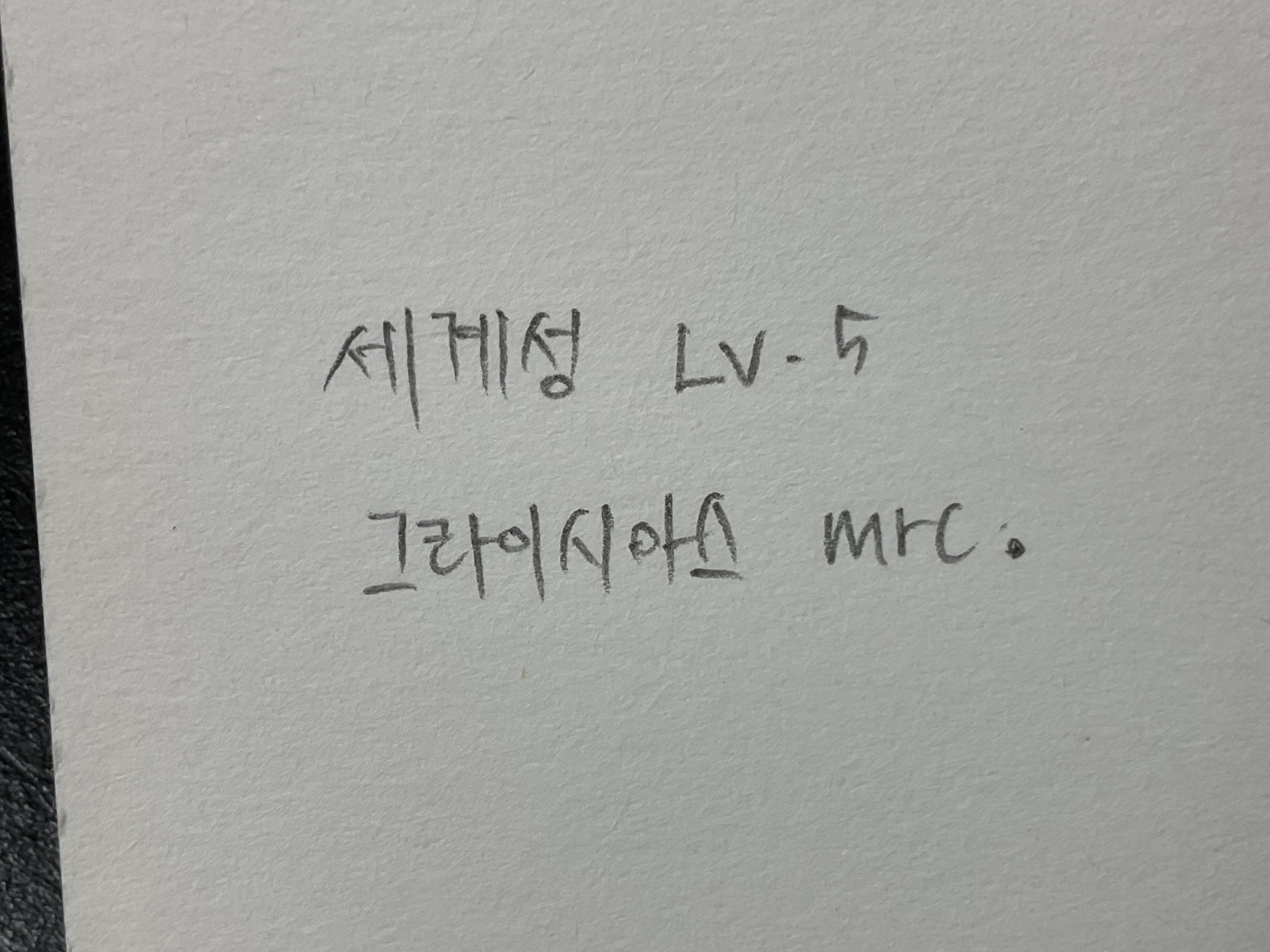 세계성 Lv.5 세계성 Lv.5