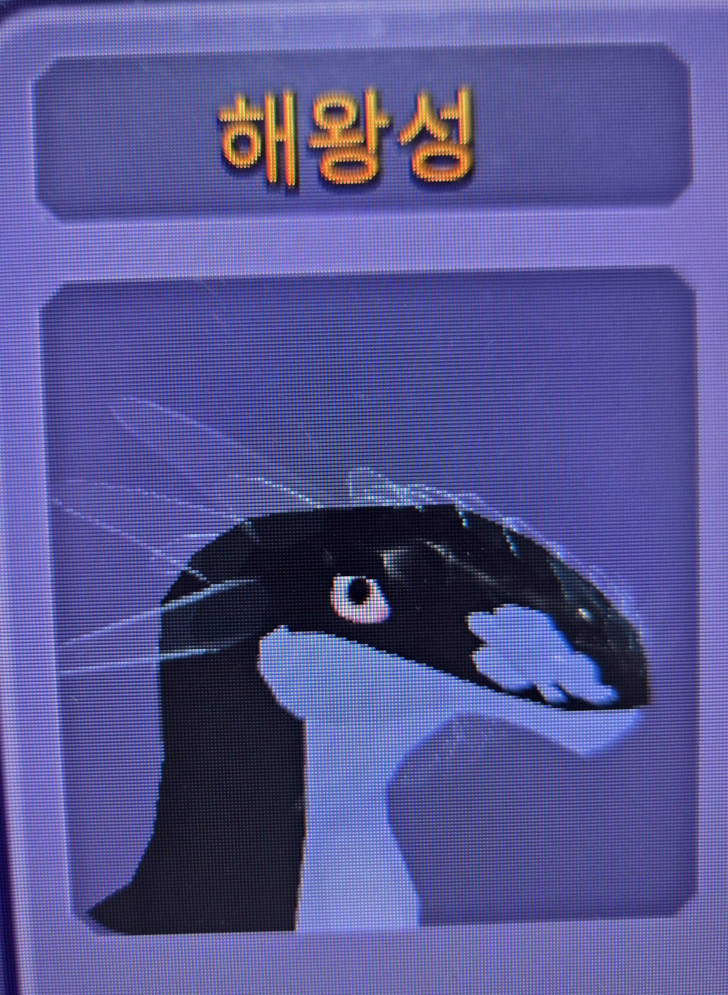 해왕성