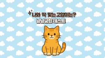 나만 없어 고양이
