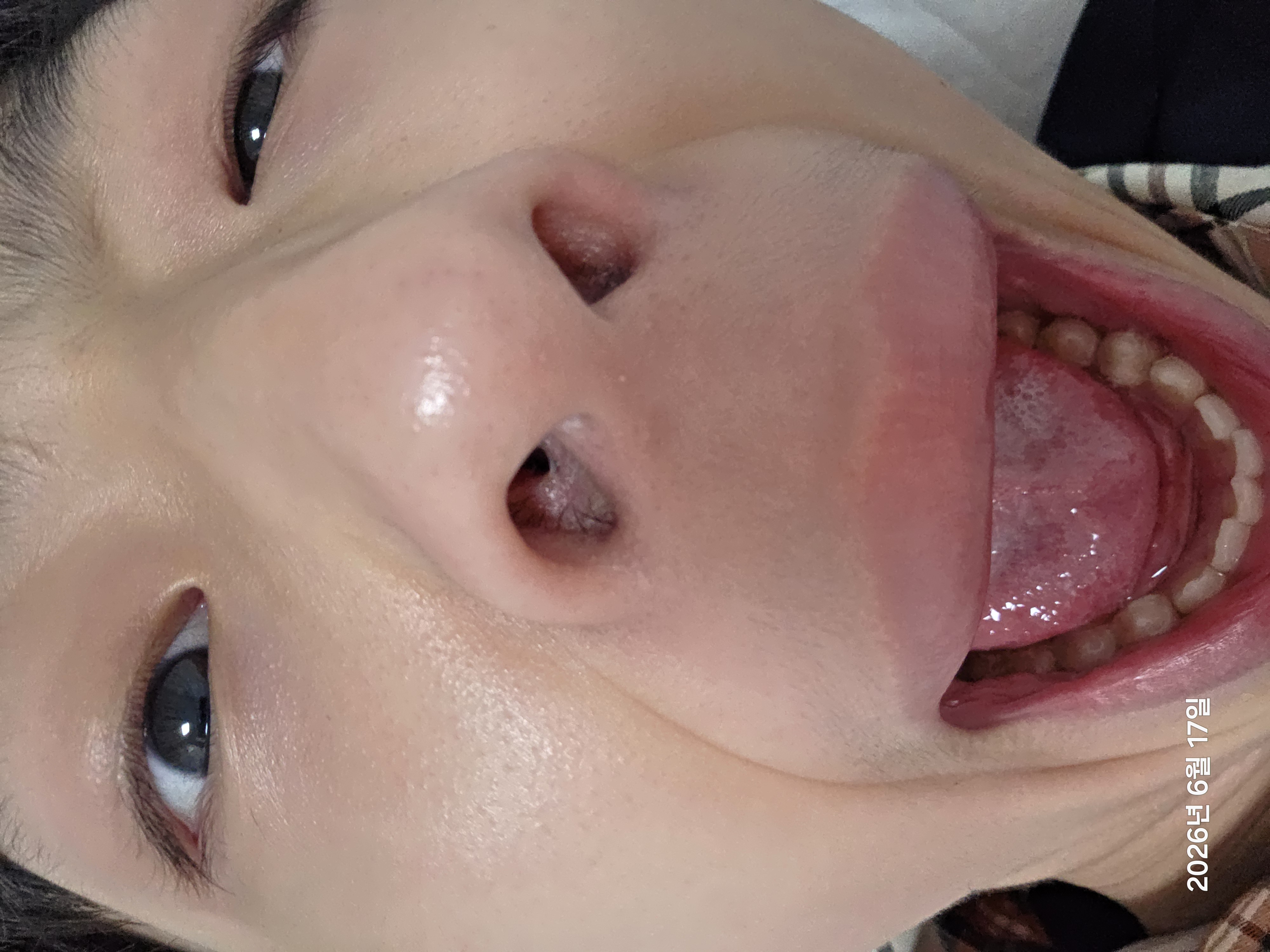 2026년 6월 17일 2026년 6월 17일