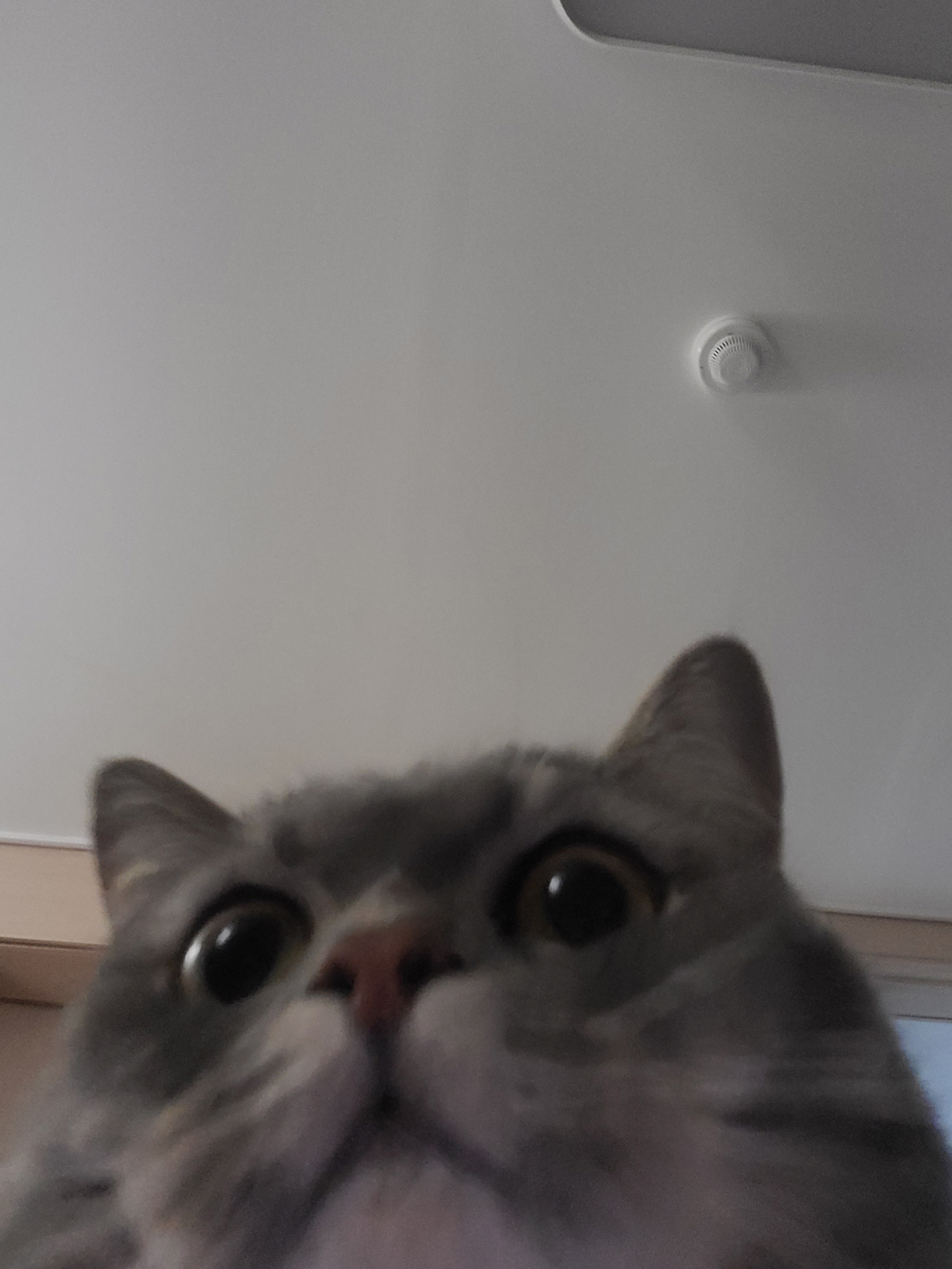 ,