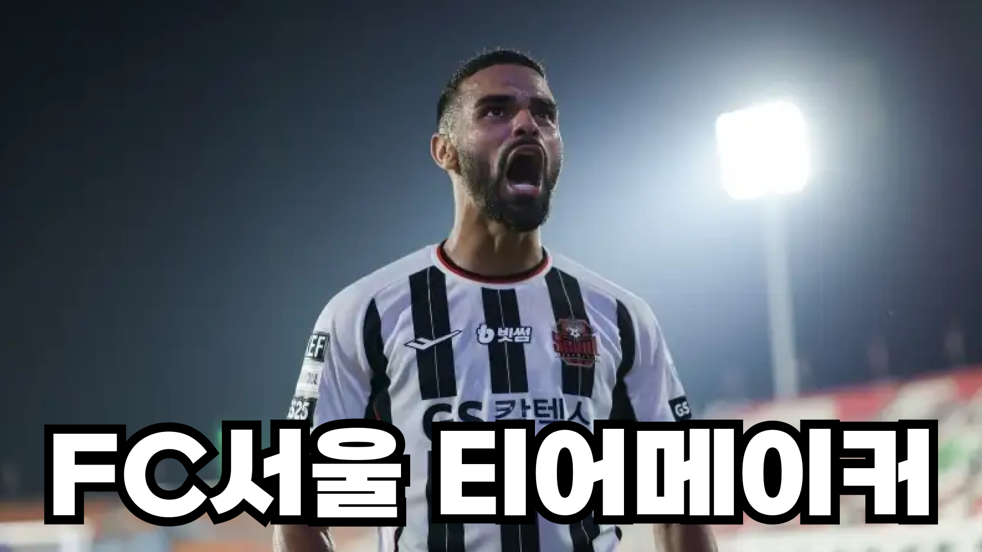 2025 FC서울 티어메이커