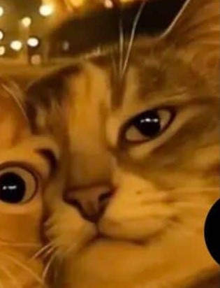 ㅇ
