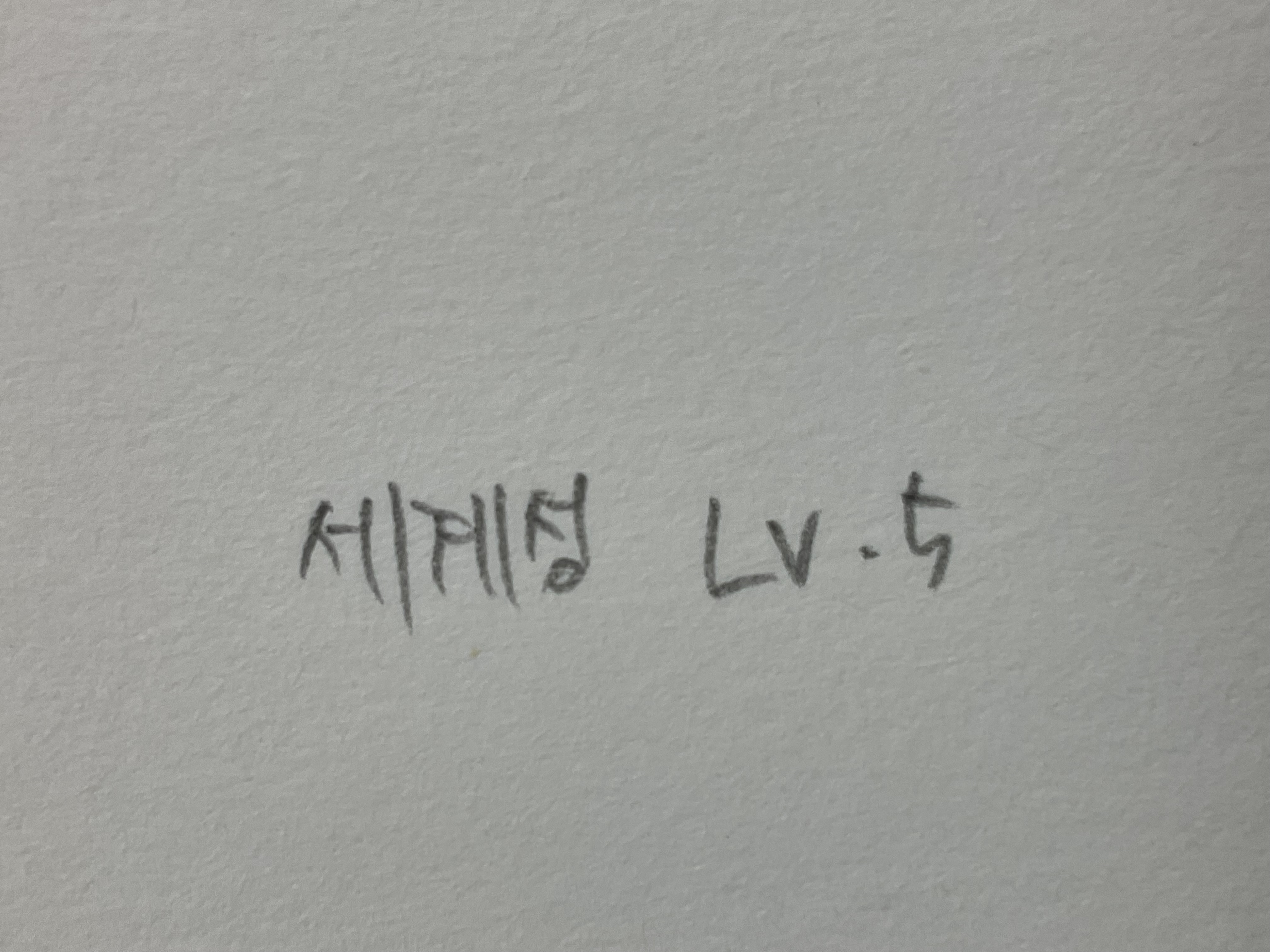 세계성 Lv.5 세계성 Lv.5