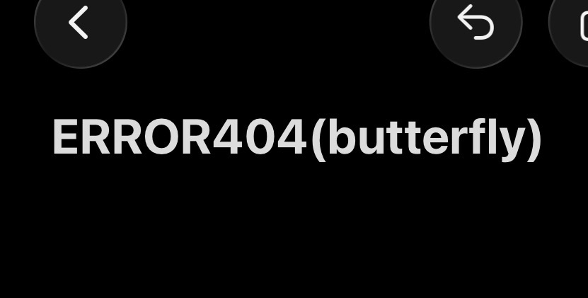 ERROR(butterfly)