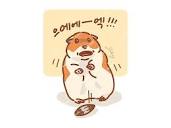 귀여운사진 티어
