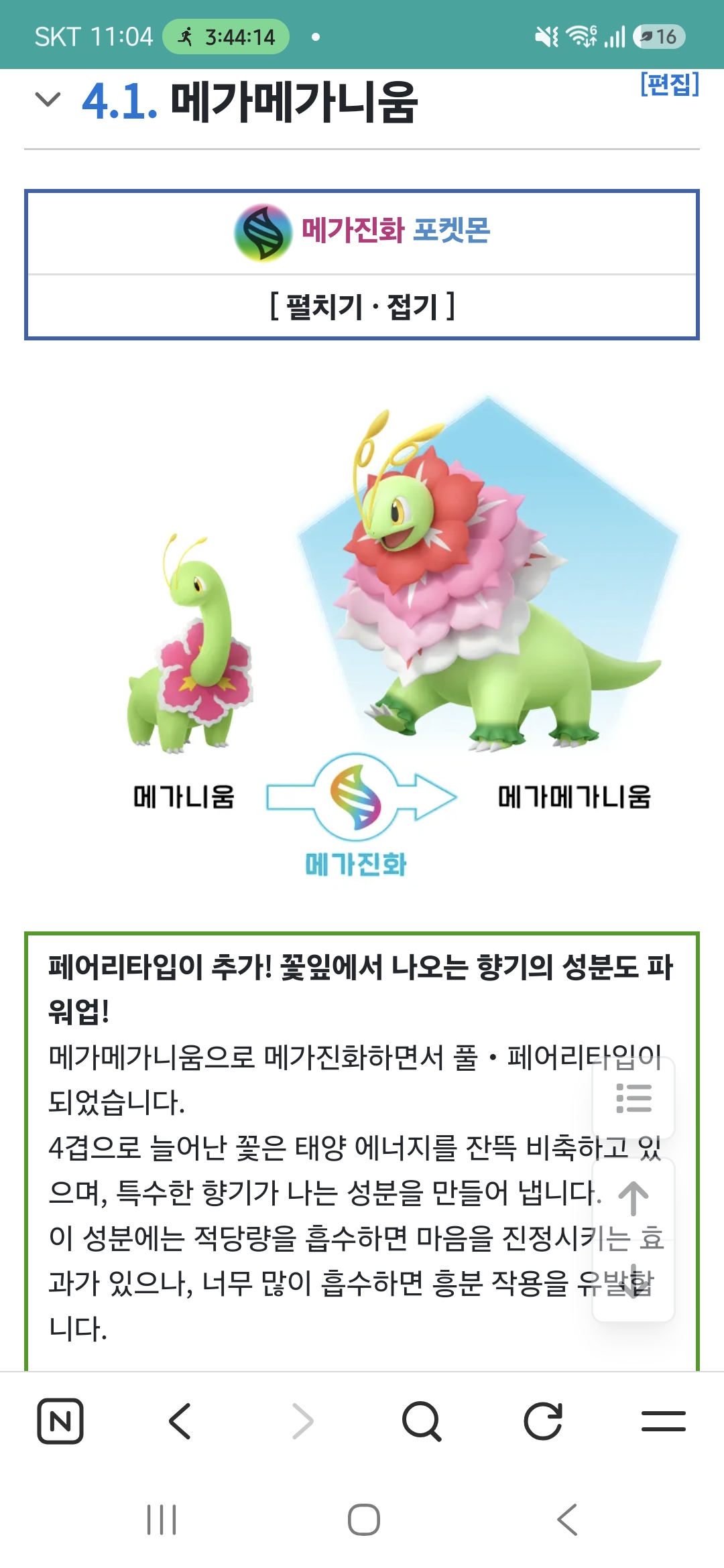 4.1. 메가메가니움