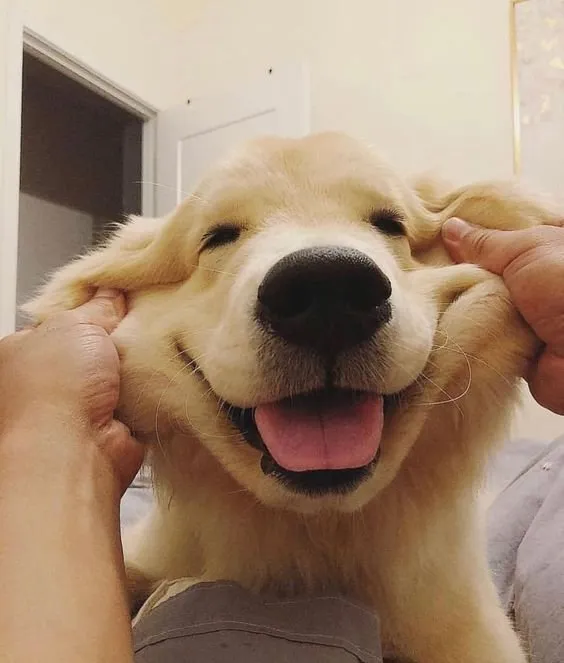커버