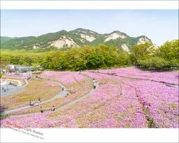 노원공원