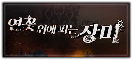 연꽃 위에 피는 장미