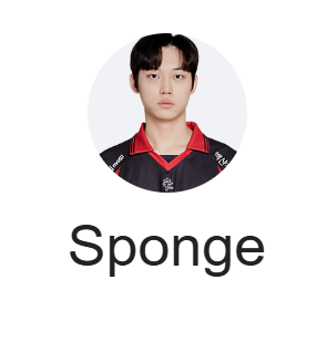 스폰지