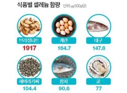 셀레늄 셀레늄