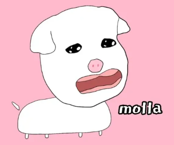 molla molla