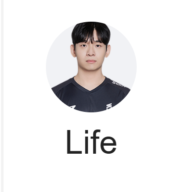 라이프