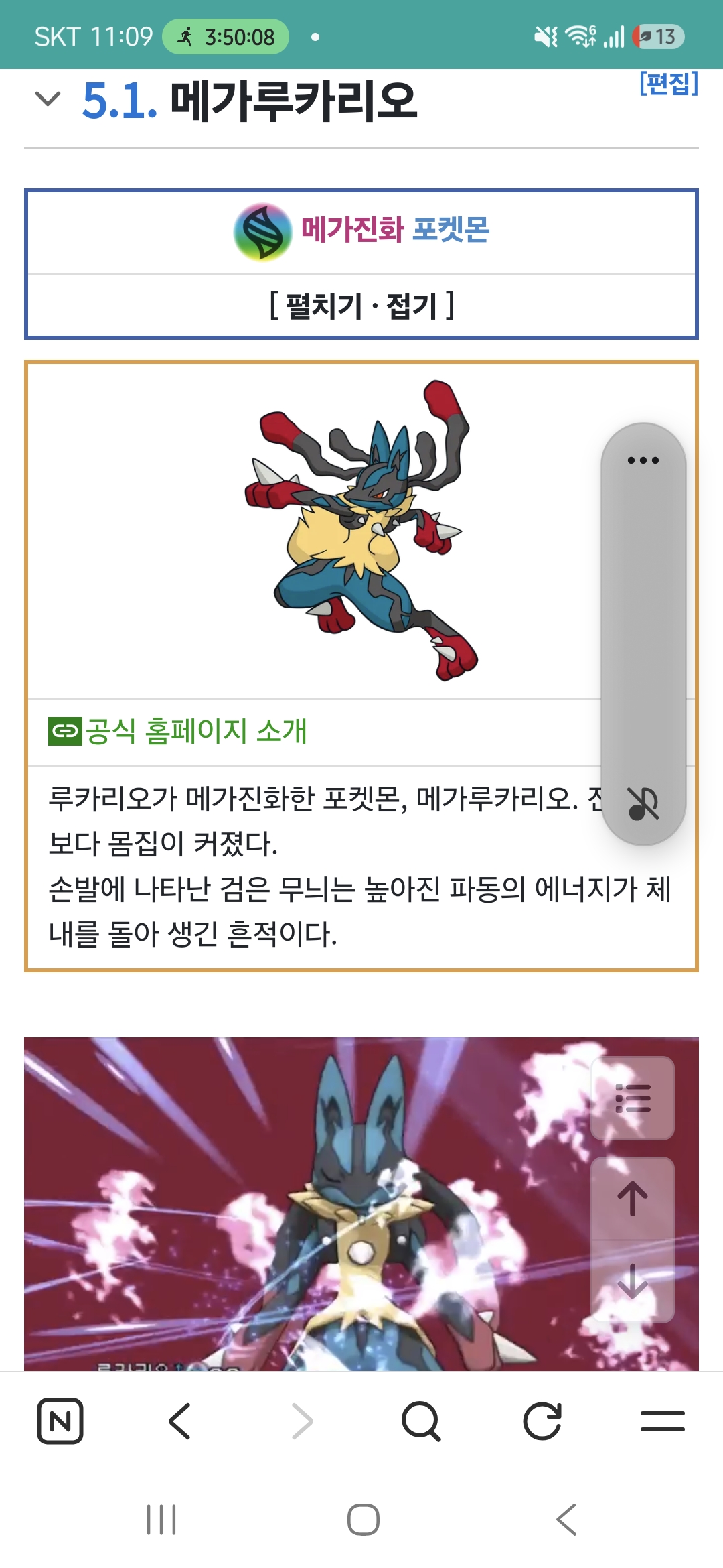 5.1. 메가루카리오