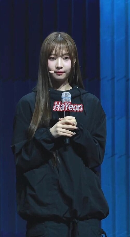 정하연