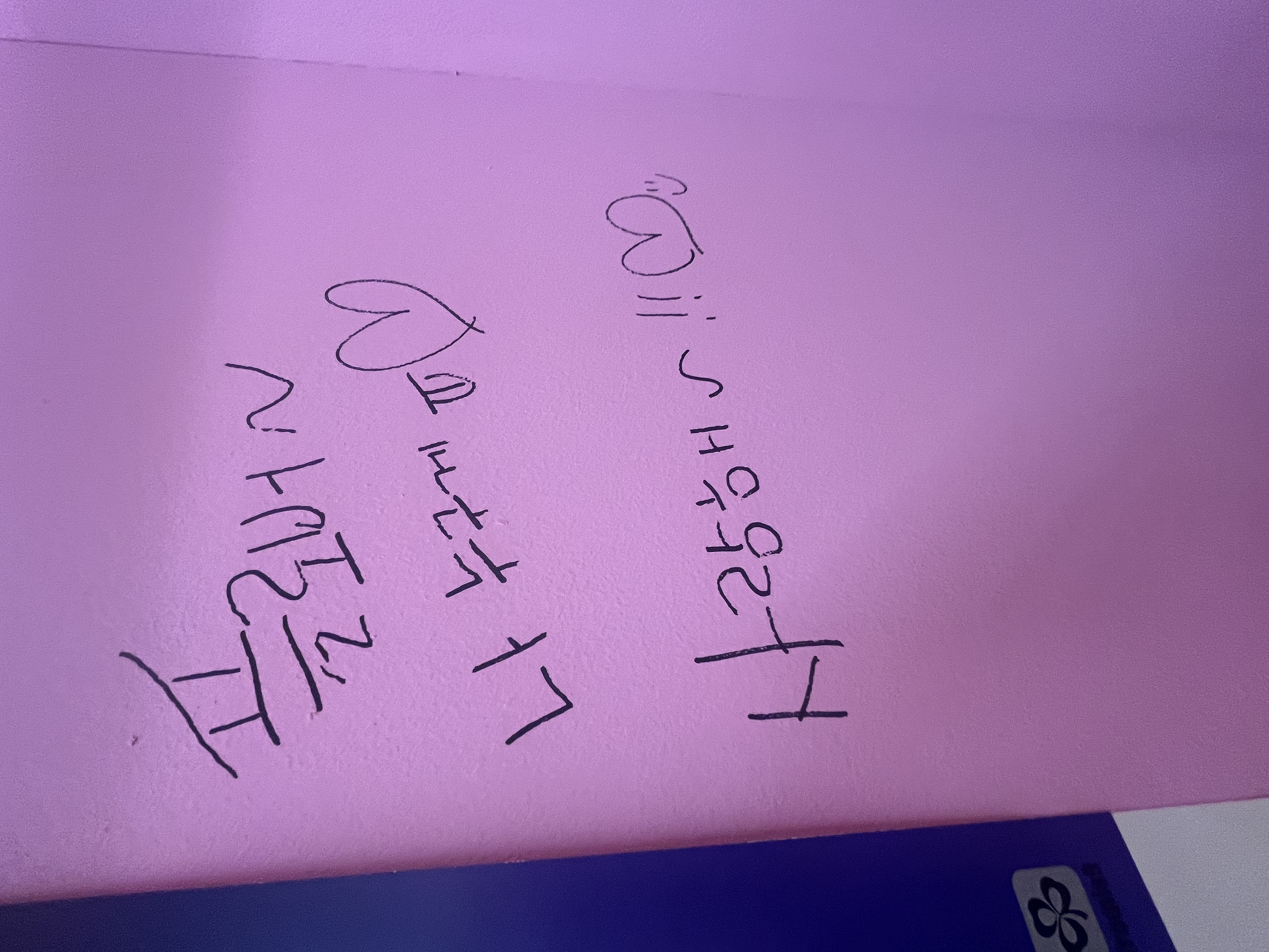 영희쌤 장발 영어,과학 영희쌤 장발 영어,과학