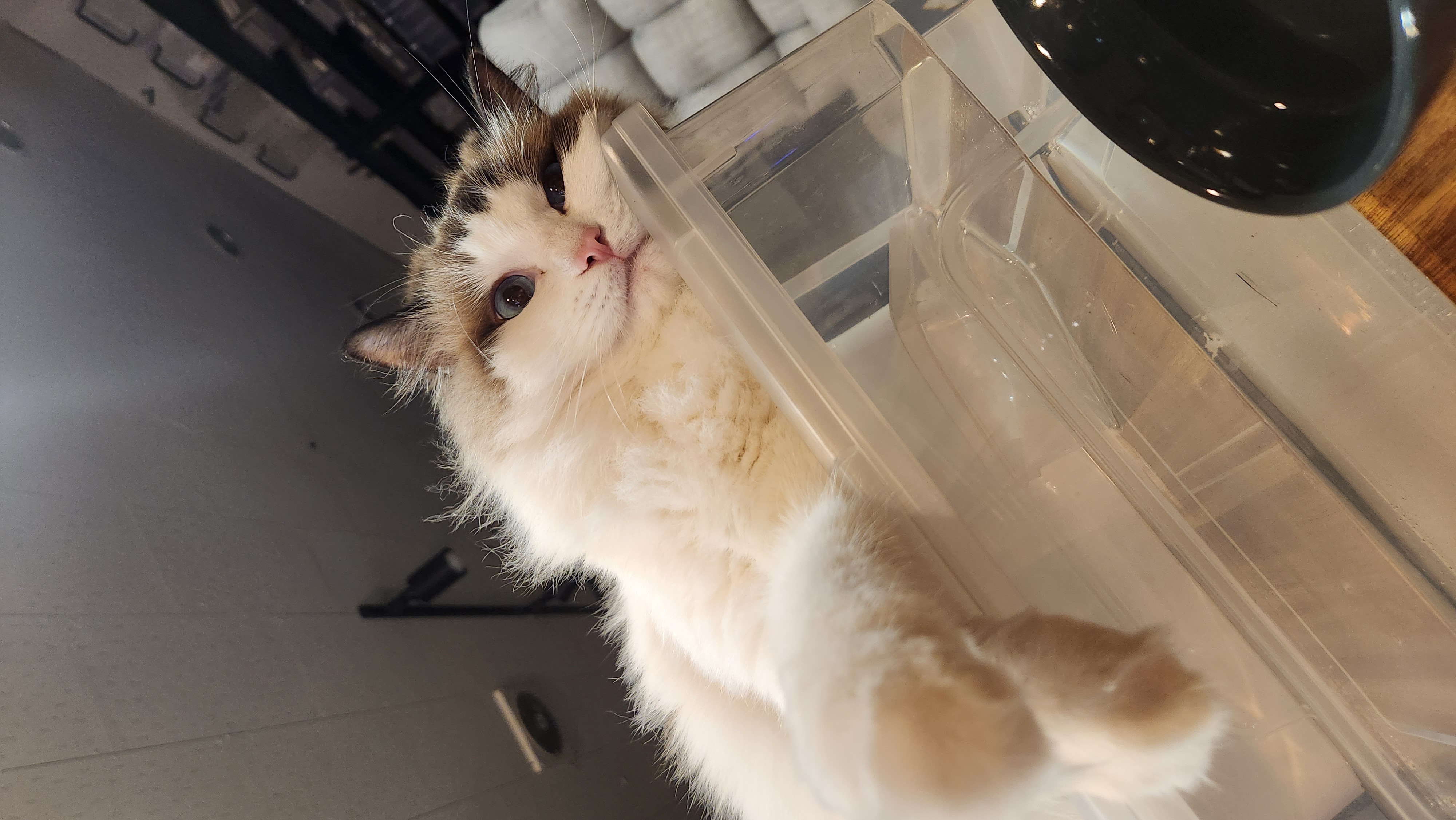 Test