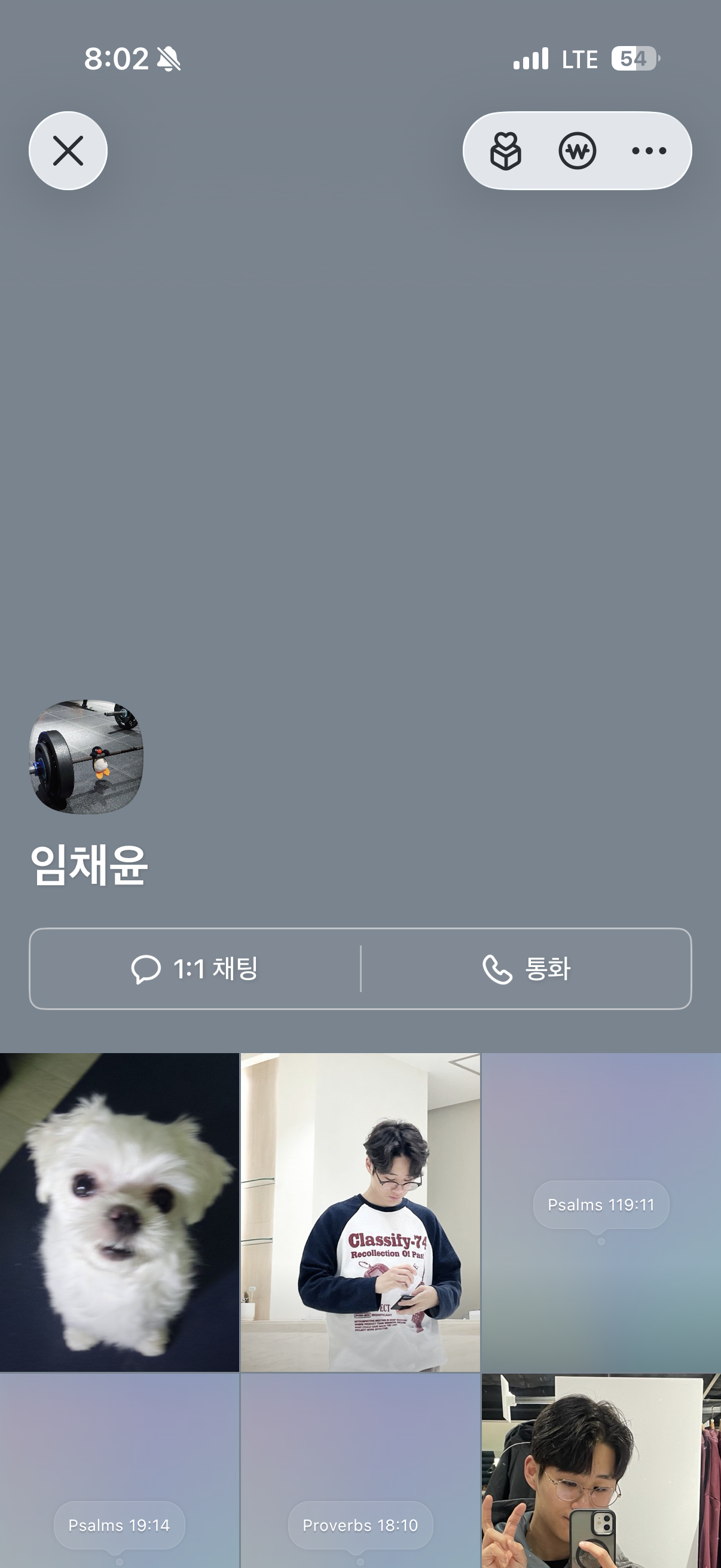 임채윤